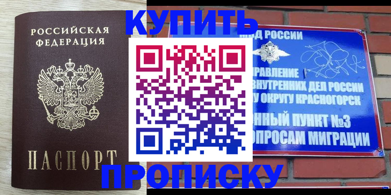 прописка гарантия в Шахунье